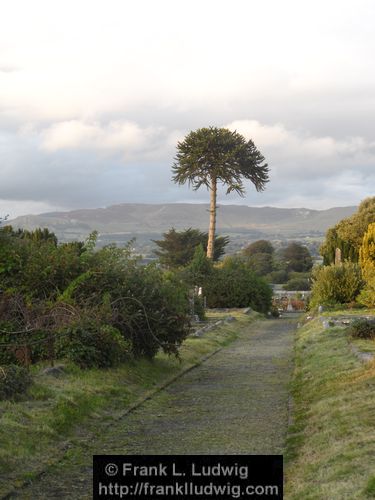 Sligo Cemetery